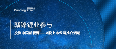 币游国际(中国)锂业参与“投资中国新视野——A股上市公司推介活动”