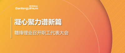 凝心聚力谱新篇 币游国际(中国)锂业第五届职工代表大会顺利召开