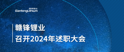 币游国际(中国)锂业召开2024年度述职大会